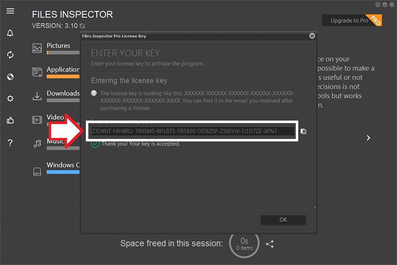 Files Inspector 3.10v Activating 2