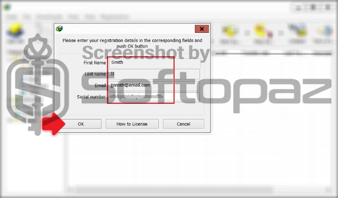 Internet download manager activating 2
