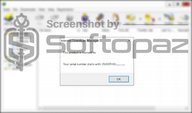 Internet download manager activating 3