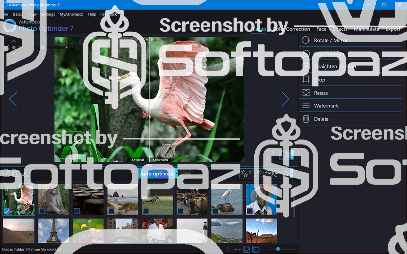 ashampoo photo optimizer 7 Interface