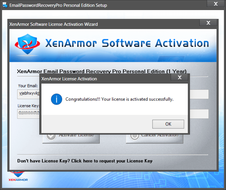 XenArmor Email Password Recovery Pro Personal 2021 Activating 2