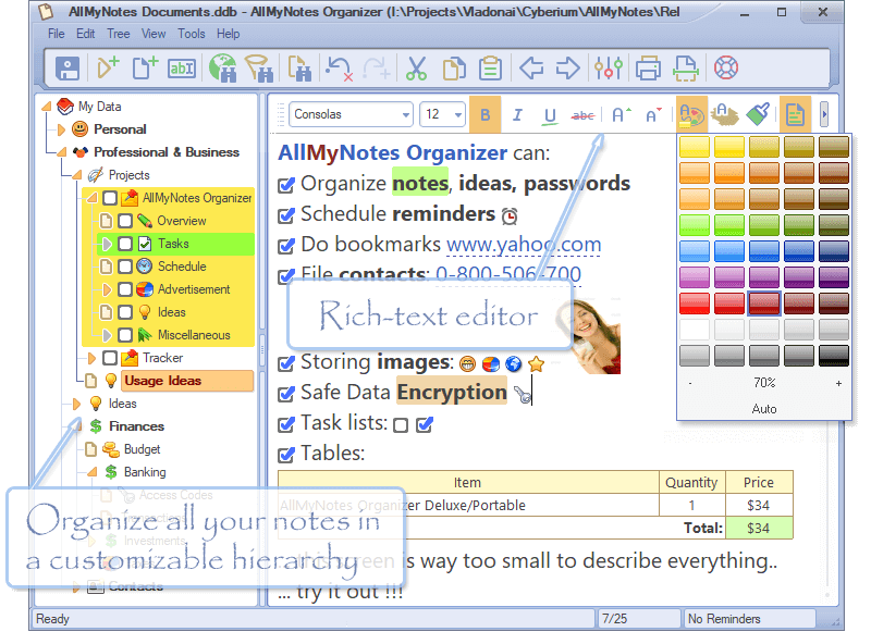 AllMyNotes Organizer Deluxe Interface