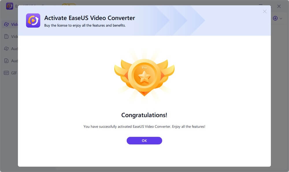 EaseUS Video Converter 1.6v Activating 4