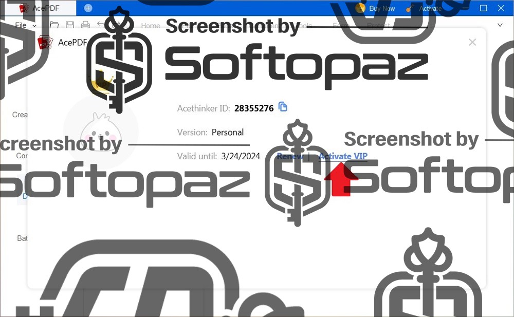 AcePDF 1v Activating 2