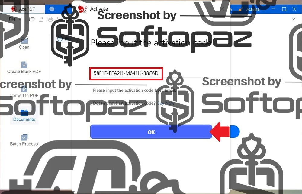 AcePDF 1v Activating 3