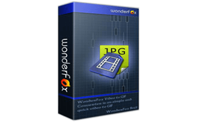 Wonderfox video to picture converter box