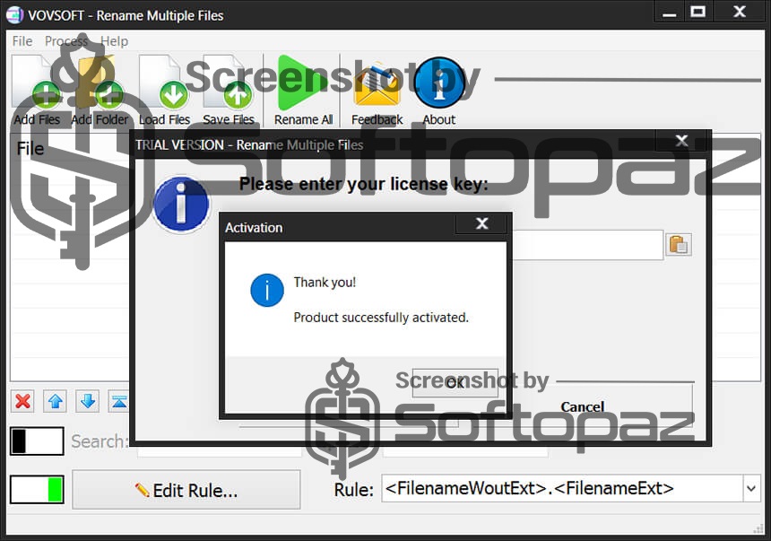 VovSoft Rename Multiple Files Activating 3