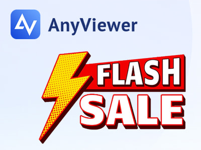 AnyViewer Exclusive Big Offer