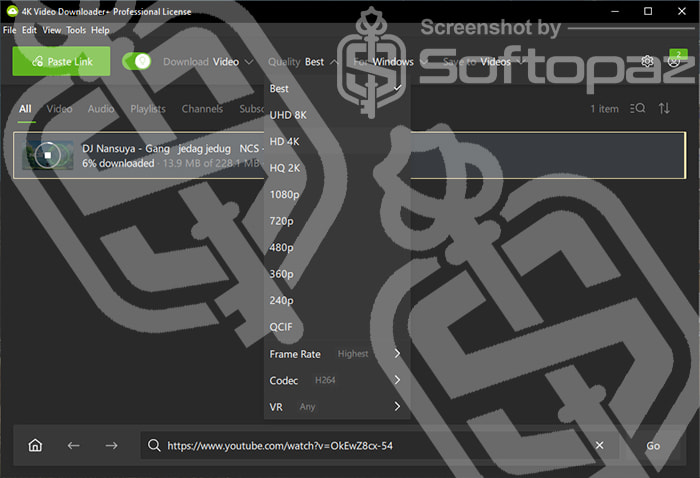 4k Video Downloader Add