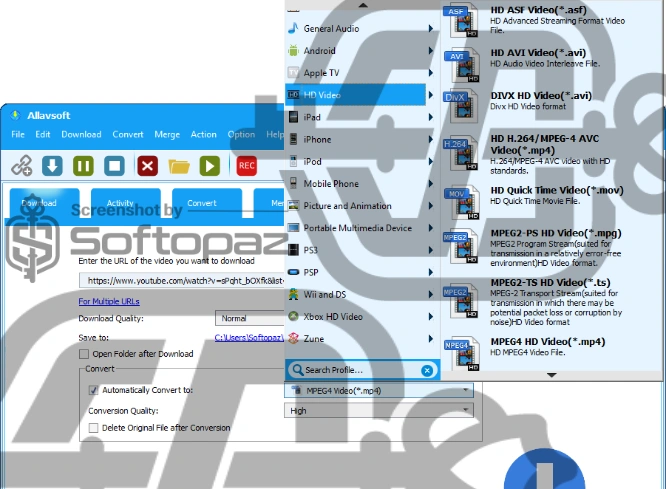 Allavsoft downloader formats