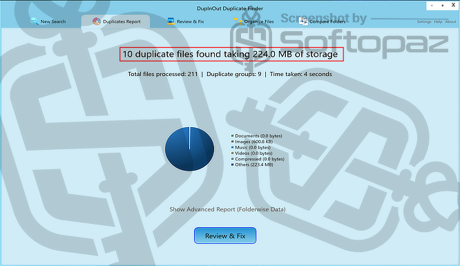 DupInOut Duplicate Finder Report
