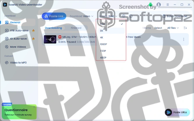 Easeus video downloader dl
