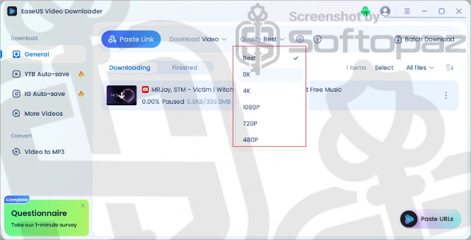 Easeus video downloader dls