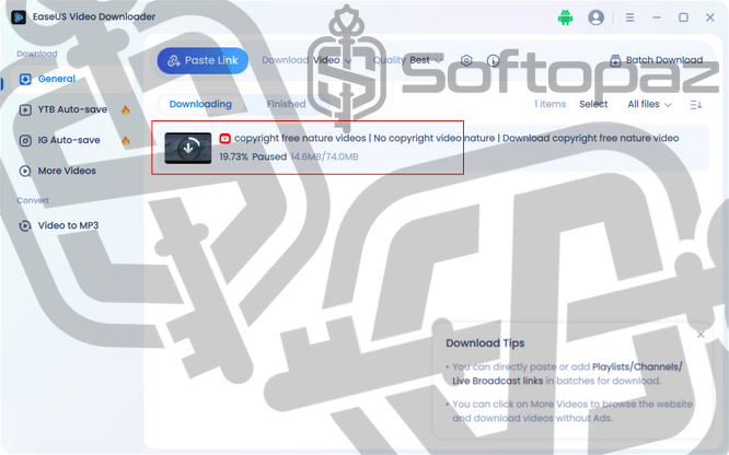 Easeus video downloader interface