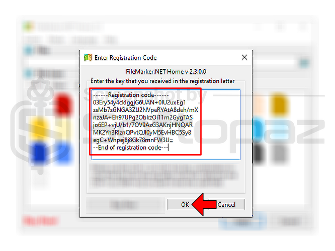 FileMarker.net Giveaway Activating