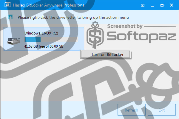 Hasleo BitLocker Anywhere Professional - Interface