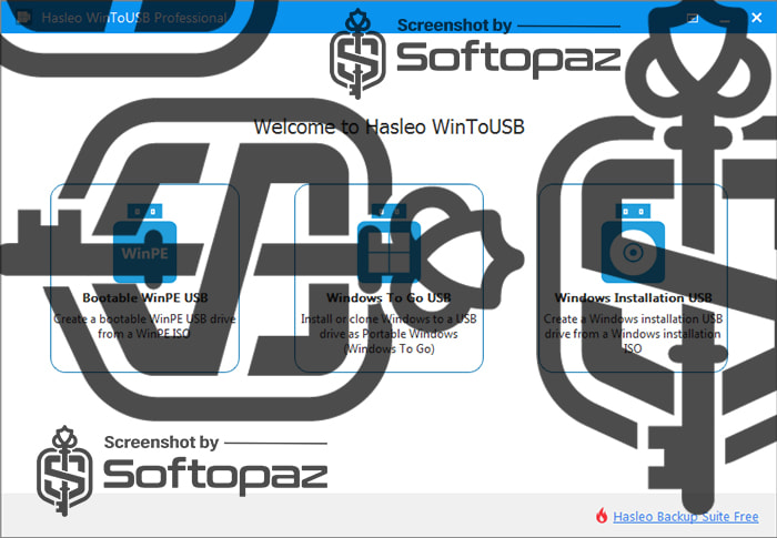 WinToUSB Professional Interface