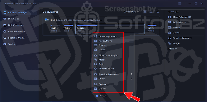 IBeesoft Disk Partition Wizard PM