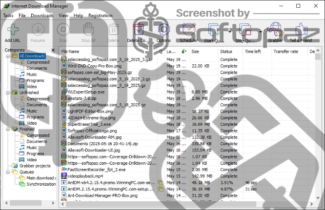 Internet download manager Interface