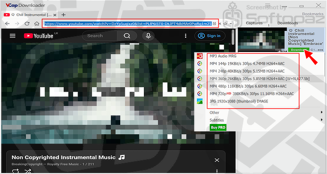 VCap Downloader STD