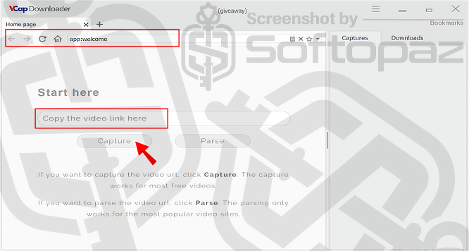 VCap Downloader UI