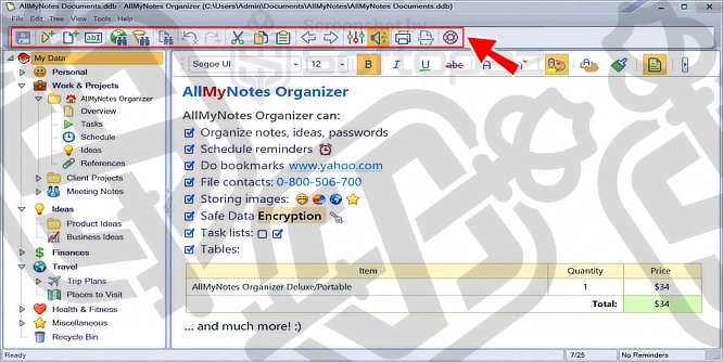 AllMyNotes Organizer Deluxe Interface