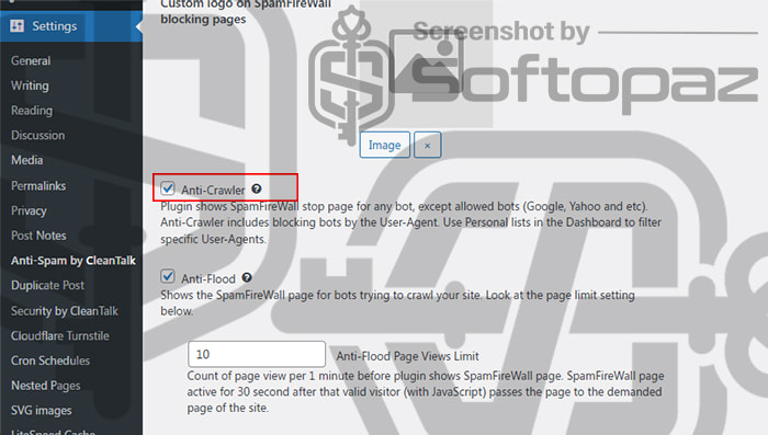 Cleantalk anti crawler option
